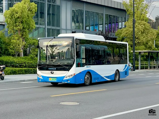 800BUS