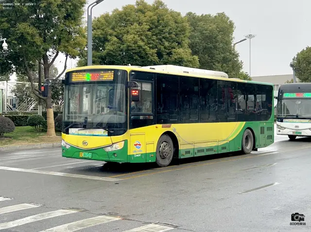 800BUS