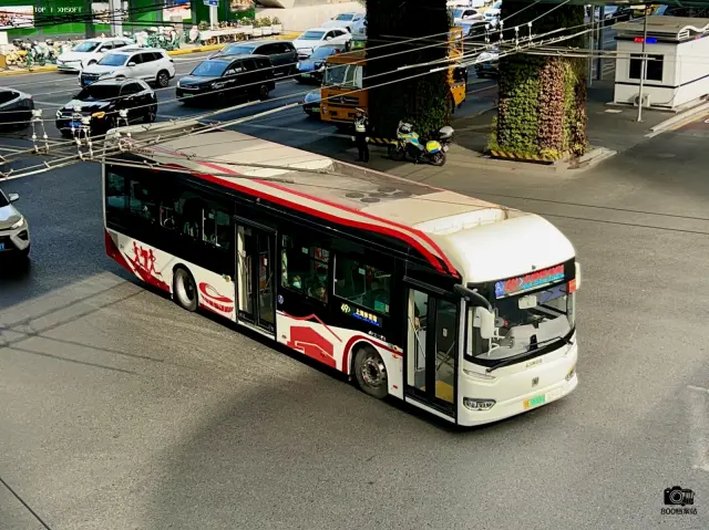 沪A 55309D
