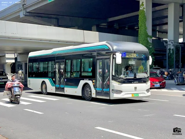 800BUS