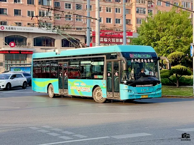 800BUS
