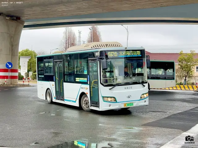 800BUS