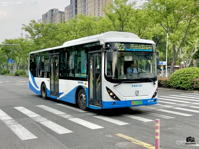 800BUS