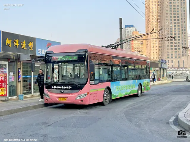 800BUS