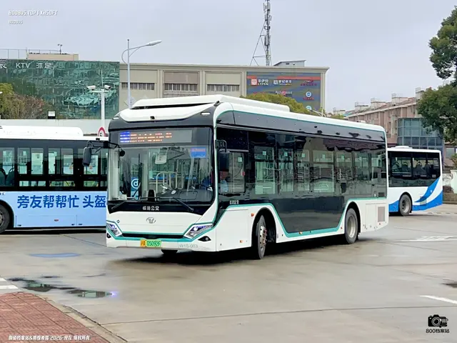 800BUS