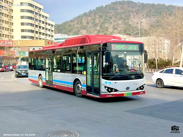 800BUS