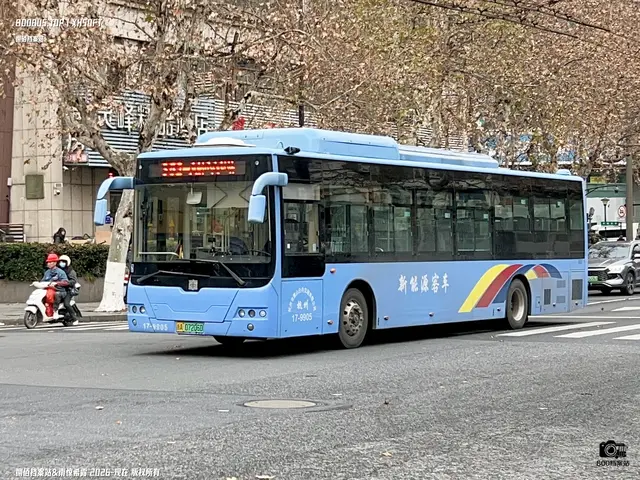 浙A 07206D
