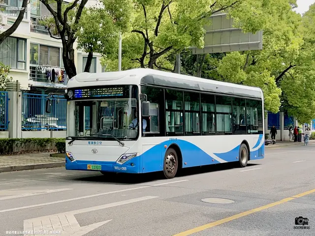 沪A 53282D