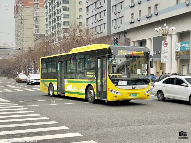 黑A 02082D