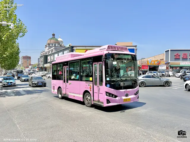 辽B N1274