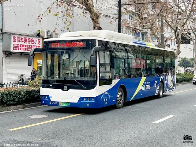 浙A 07846D