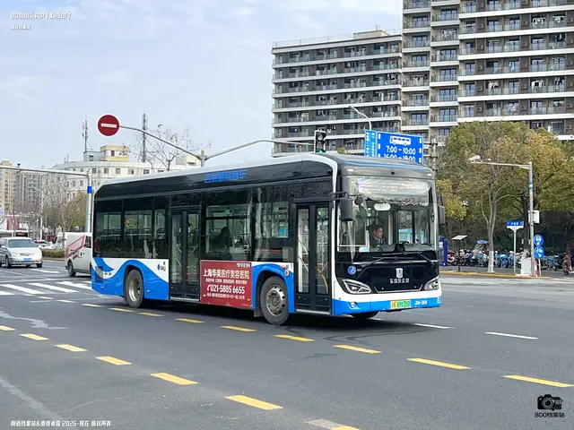 沪A 69135D