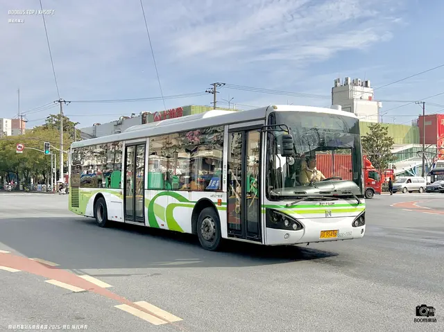 沪D 95496