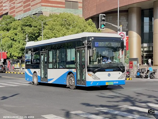 沪A 02967D