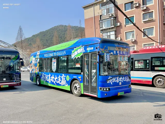 辽B 00555D