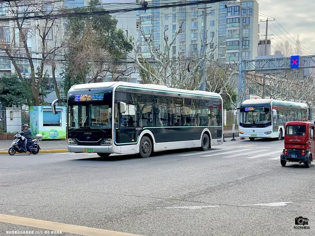 沪A 33761D
