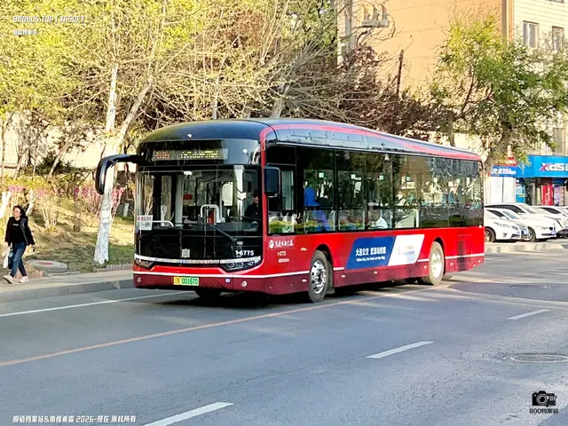 辽B 00167D