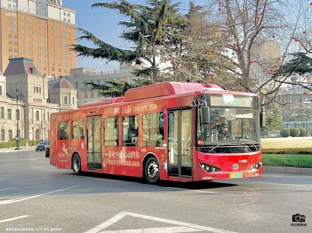 辽B 08171D