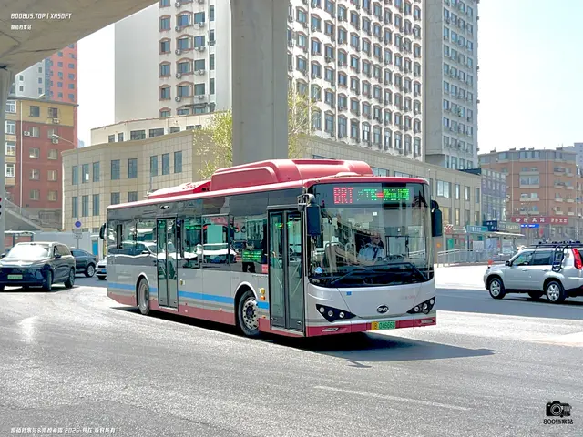 辽B 04666D