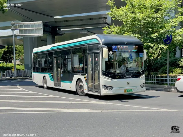 沪A 51395D