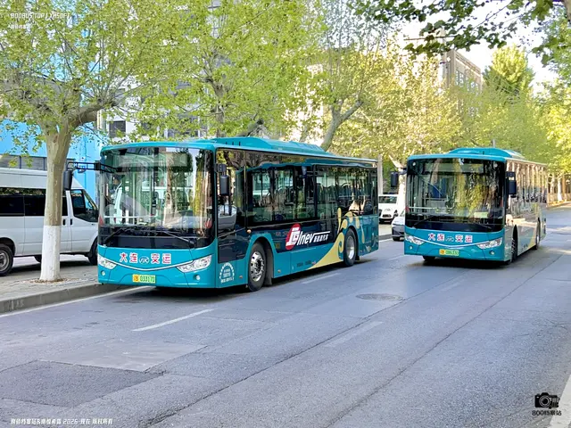 辽B 03317D  辽B 08633D