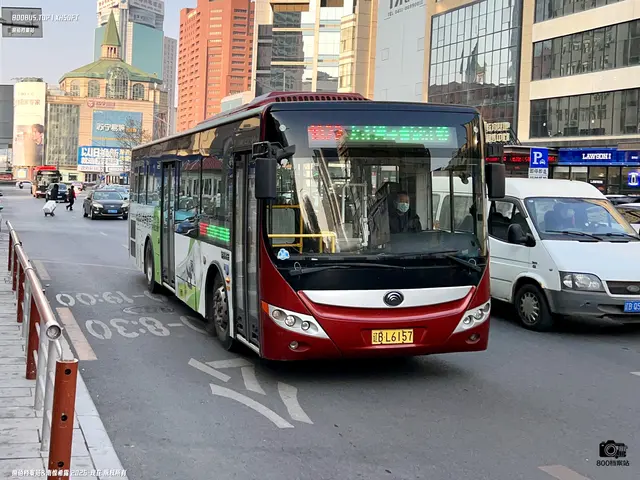 辽B L6157
