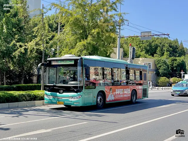 辽B L1140