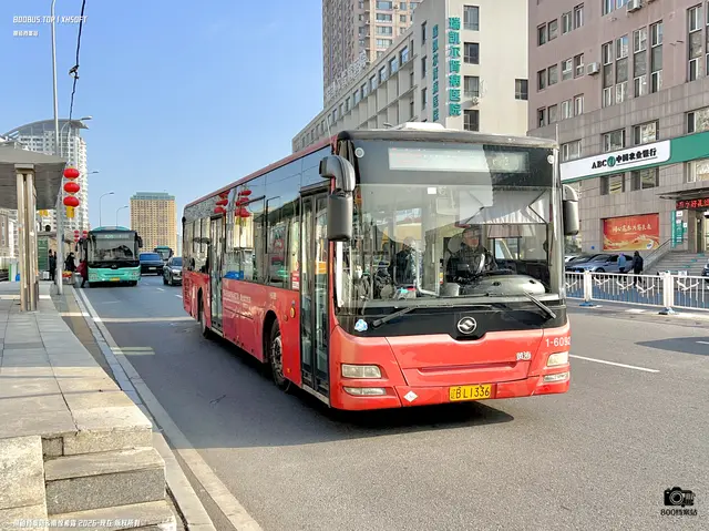 辽B L1336