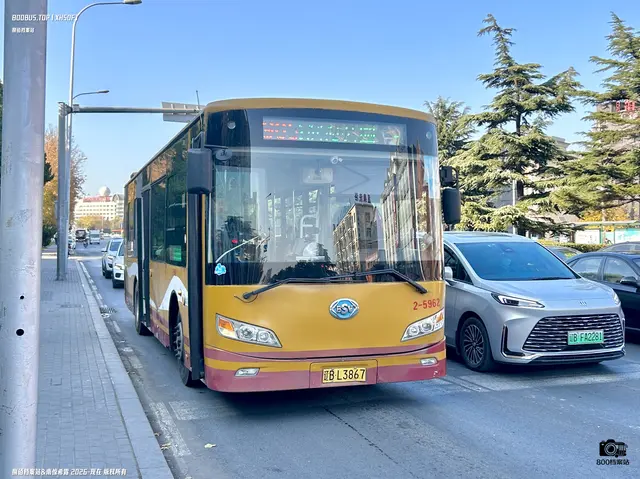 辽B L3867