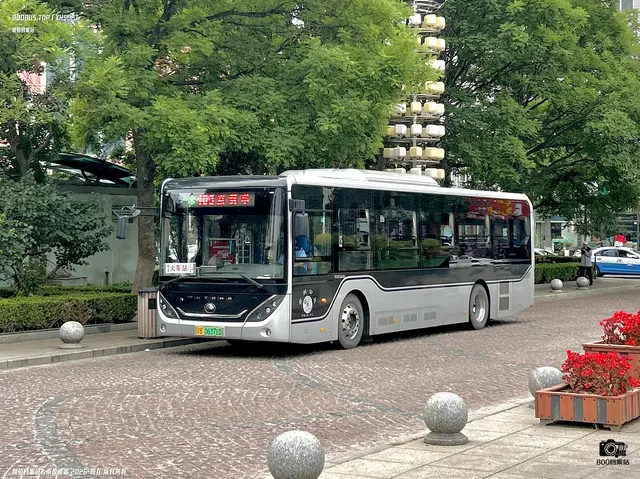 辽B 06371D