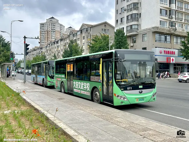辽B 03639D