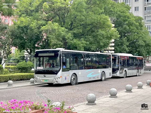 辽B 07886D