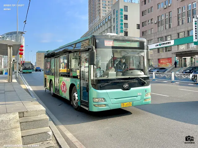 800BUS