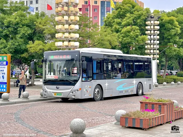 800BUS