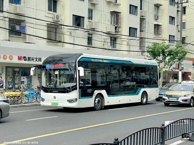 800BUS