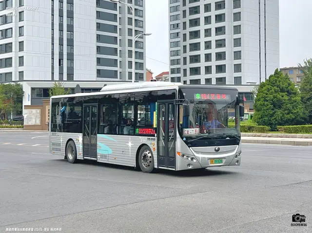 辽B 09163D