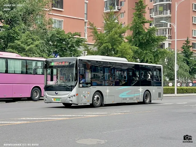 辽B 09310D