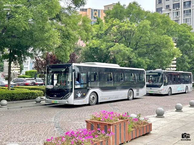 辽B 06182D
