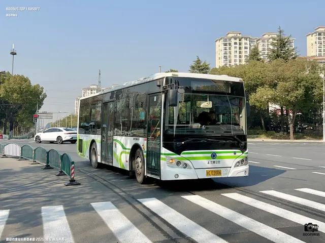 沪E E2006