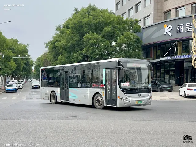 辽B 05972D