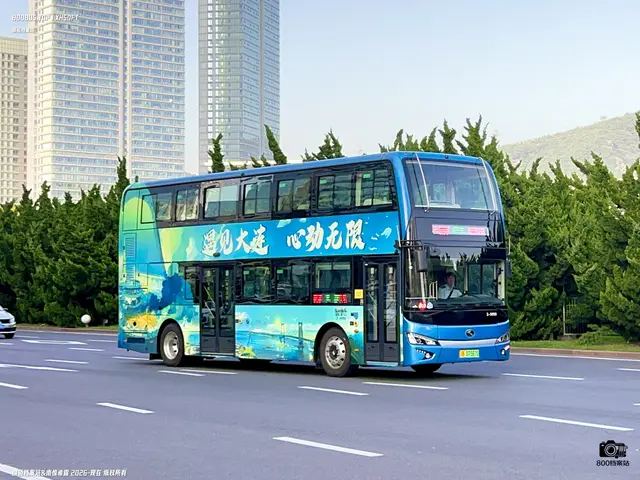 辽B 07587D