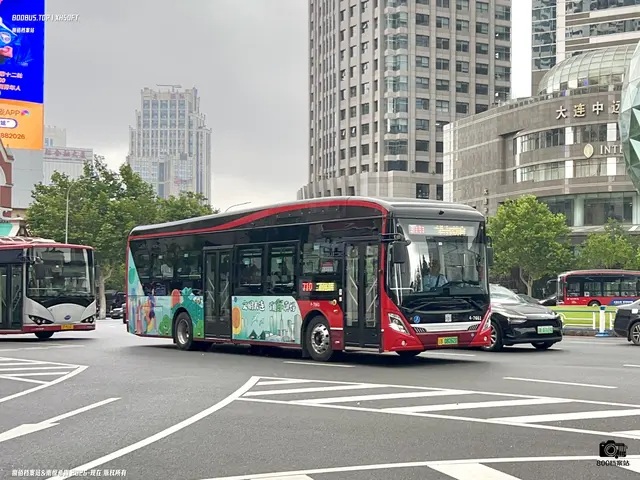 辽B 08262D