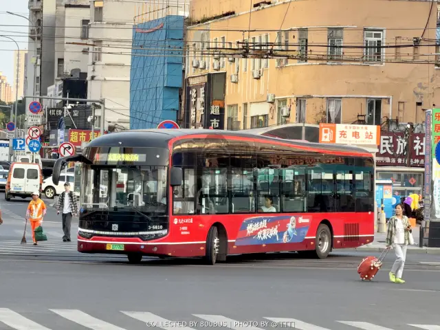 辽B 07776D