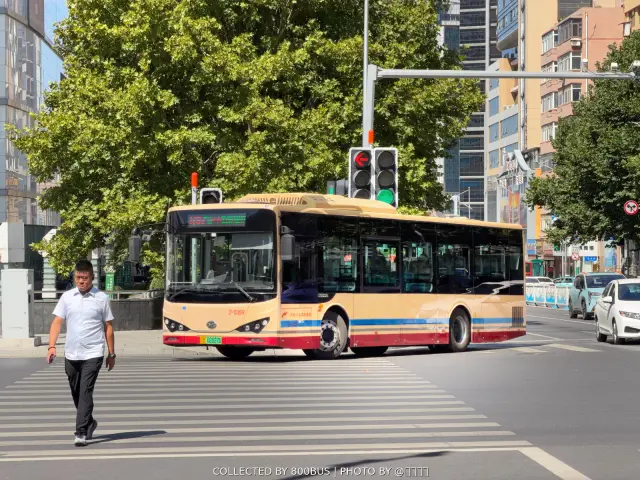 辽B 02027D