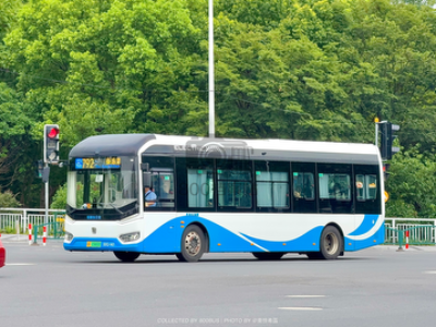 沪A 03460D