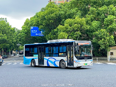 沪A 55005D
