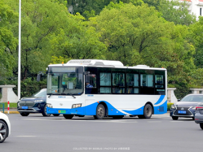 沪A 30301D