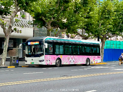 沪A 56552D