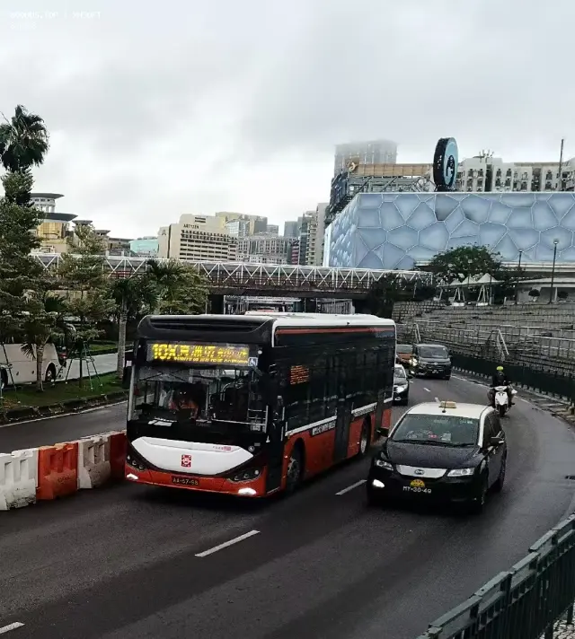 800BUS