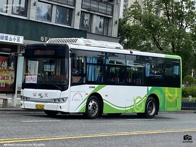 闽H Y8667